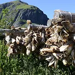 A Rorbuer - By Classic Norway 3* Å