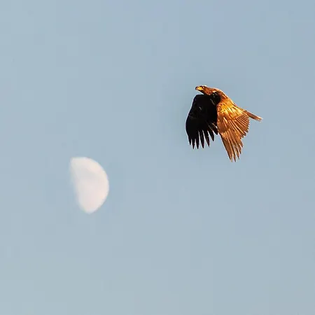 Station touristique A Rorbuer - By Classic Norway