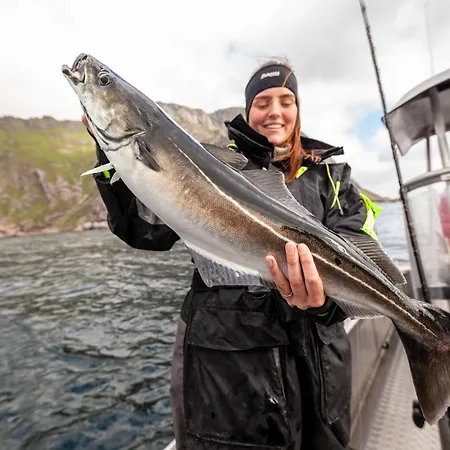 A Rorbuer - By Classic Norway Station touristique Å