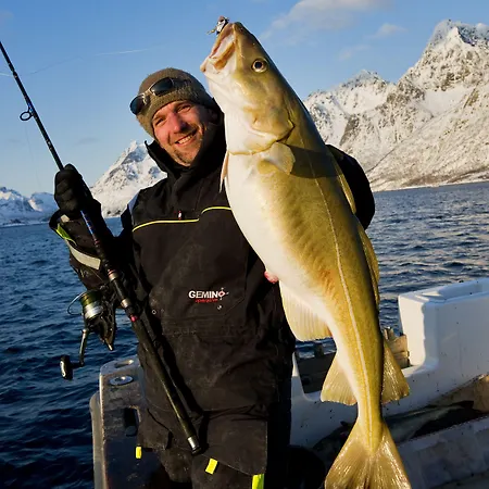 A Rorbuer - By Classic Norway 3* Å